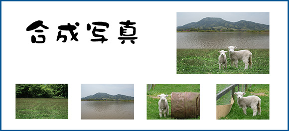 合成写真