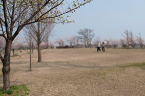 合成