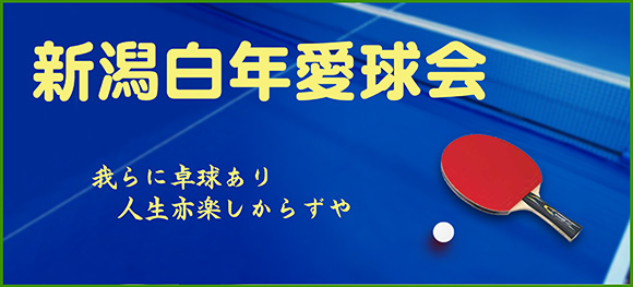 白年愛球会