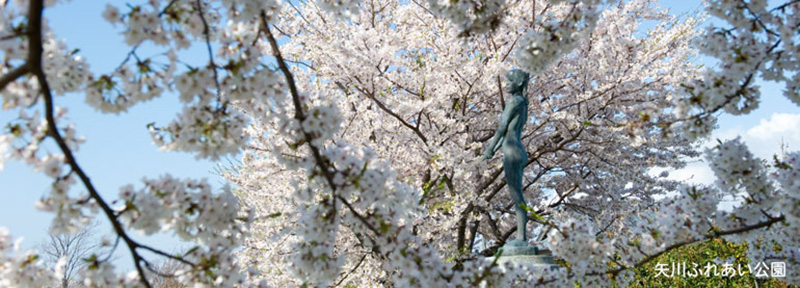入園・入学