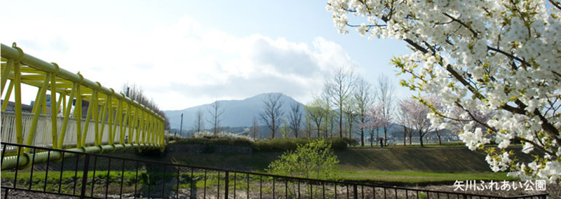 矢川ふれあい公園