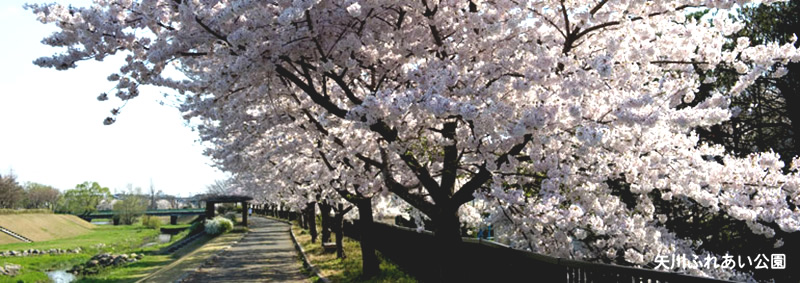 矢川ふれあい公園