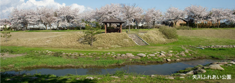 矢川ふれあい公園