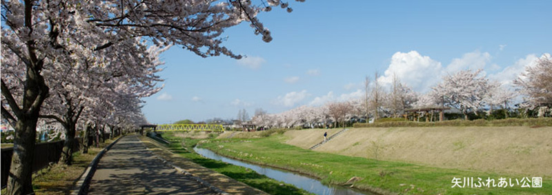 矢川ふれあい公園