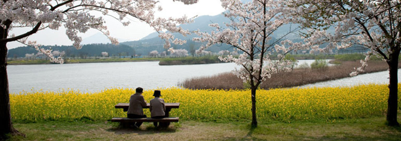 上堰潟公園