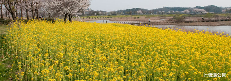 上堰潟公園