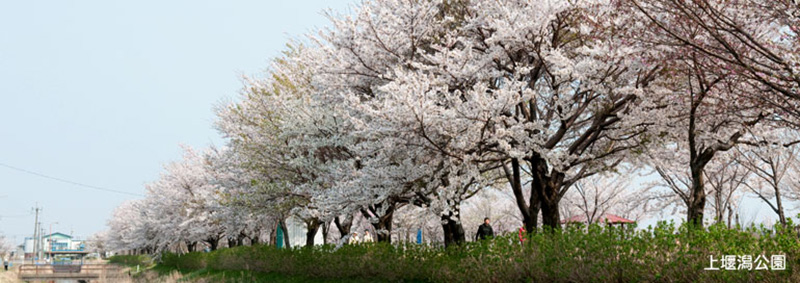 上堰潟公園