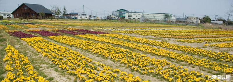 上堰潟公園