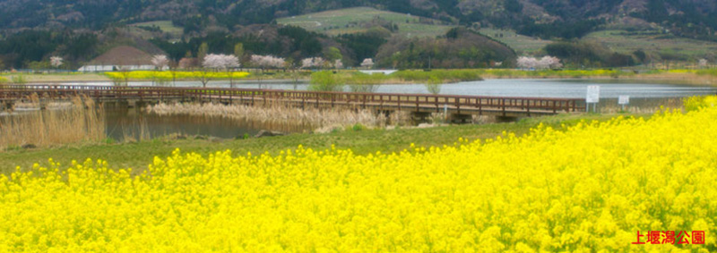 上堰潟公園