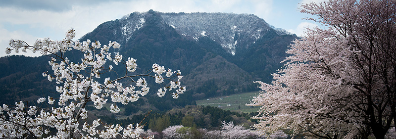 上堰潟公園
