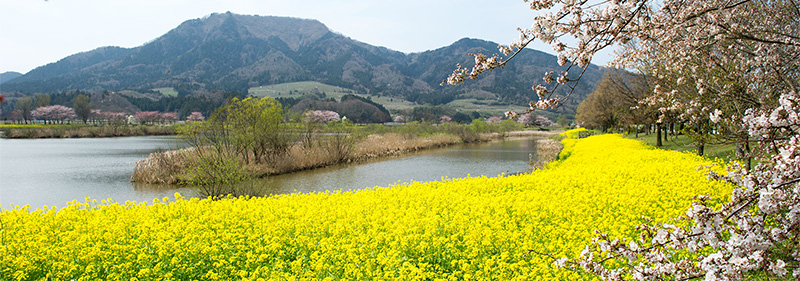 上堰潟公園